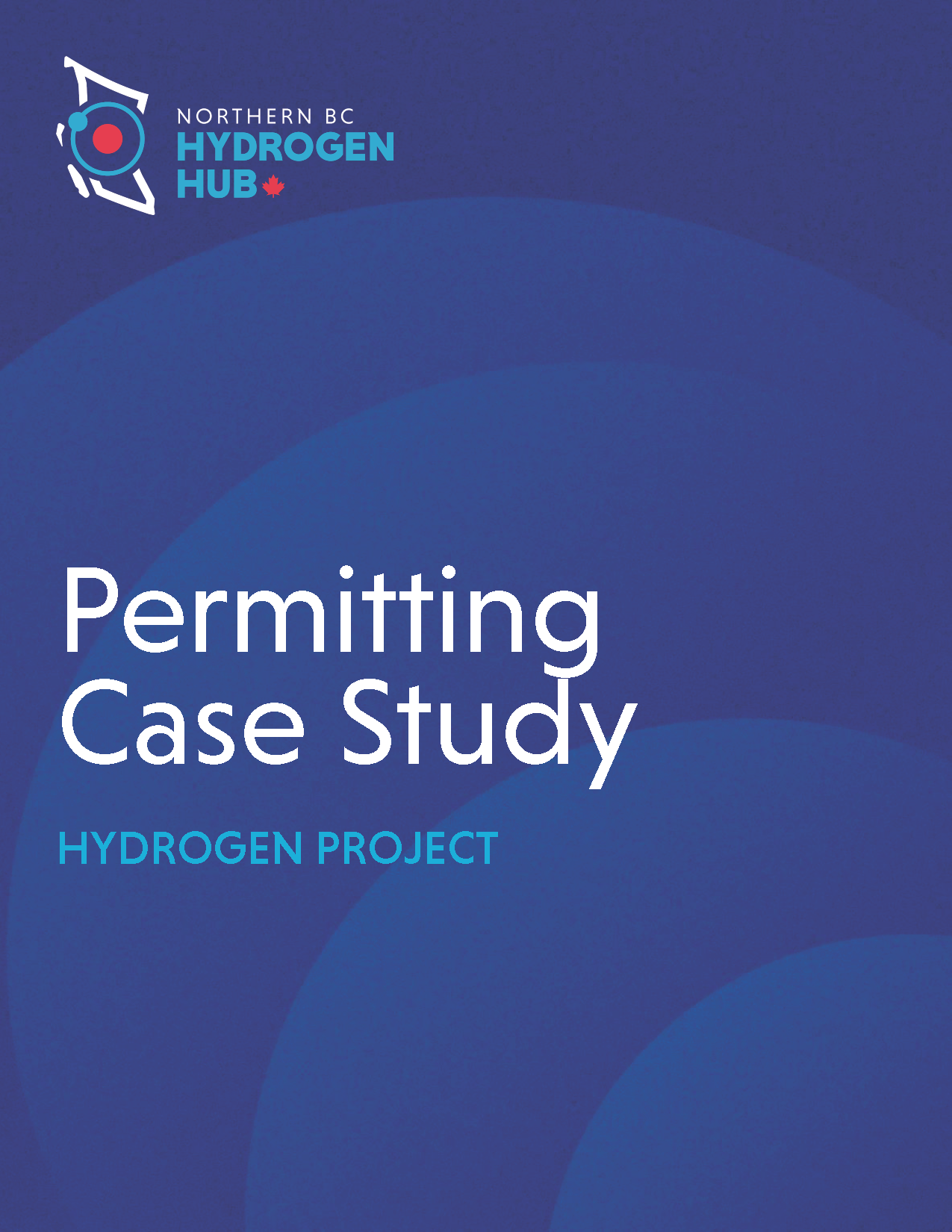 Report cover titled, "Permitting Case Study"
